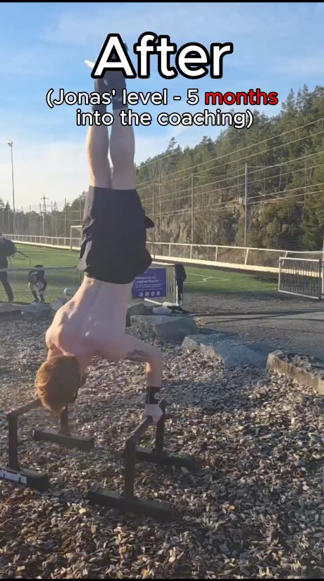 Jonas holding a 90 degree handstand on parallettes